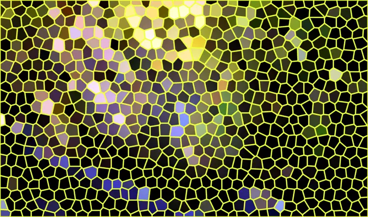 image.webp