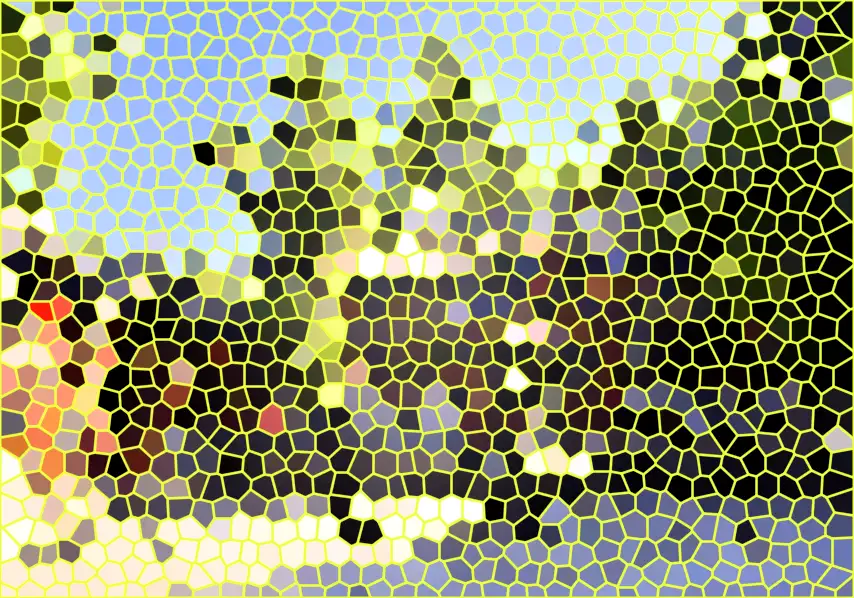 image.webp