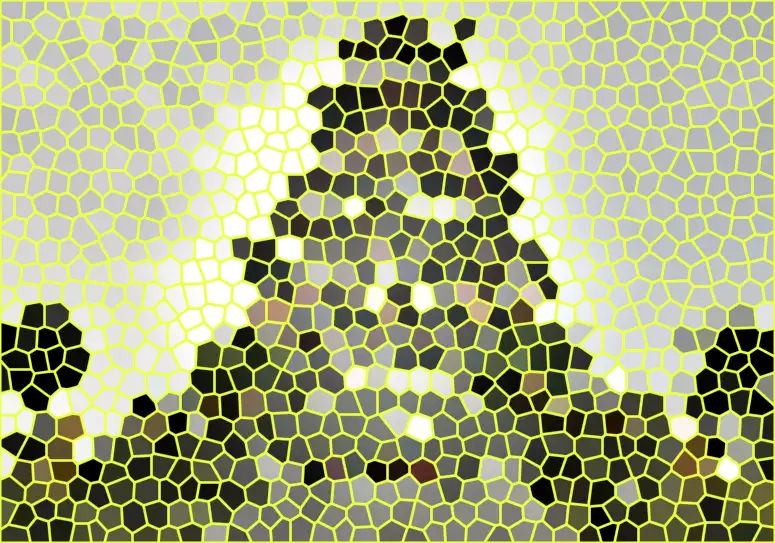 1611983997628990.webp image.webp