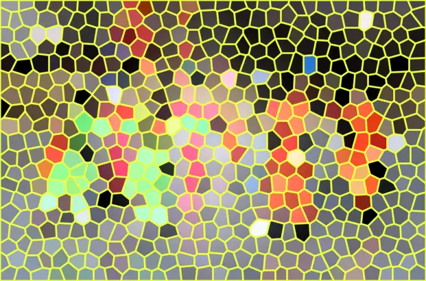 image.webp