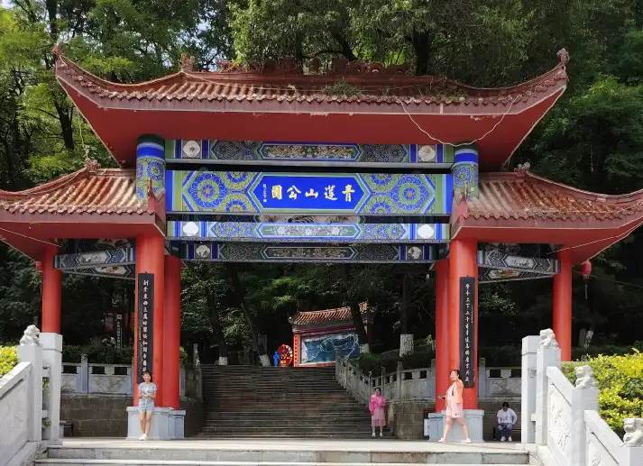 image.webp