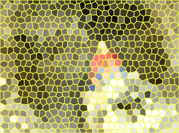 image.png