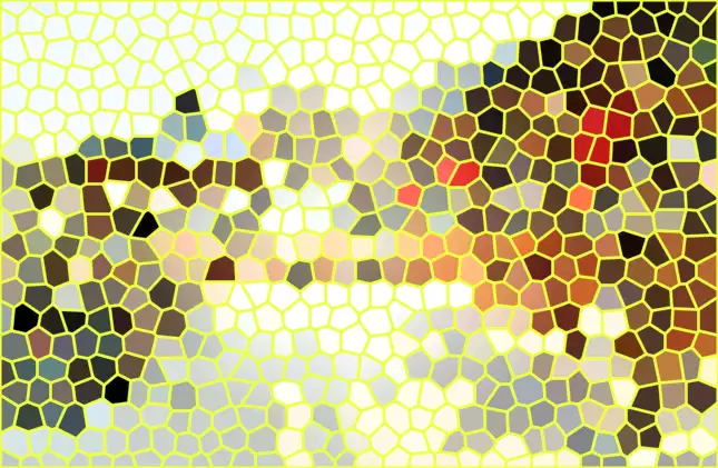 image.webp