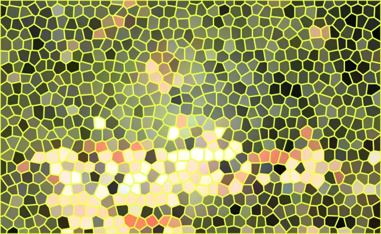 image.webp