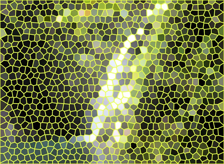 image.webp