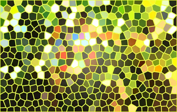 image.webp