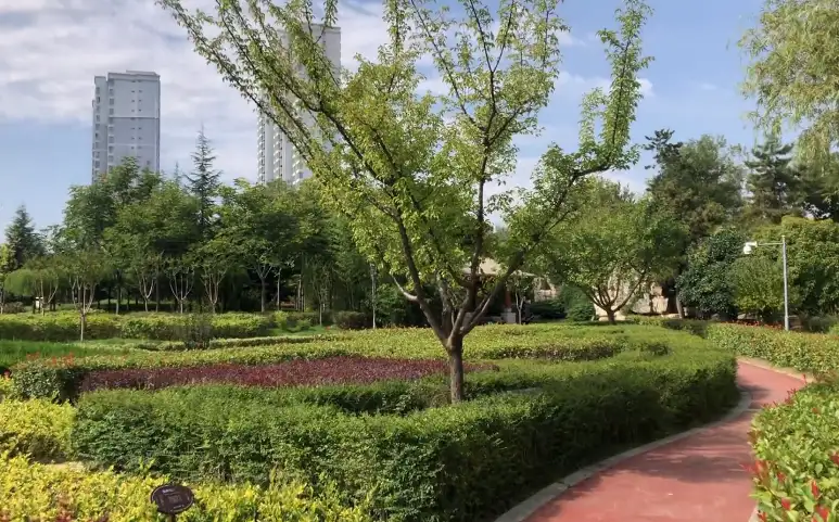 image.webp