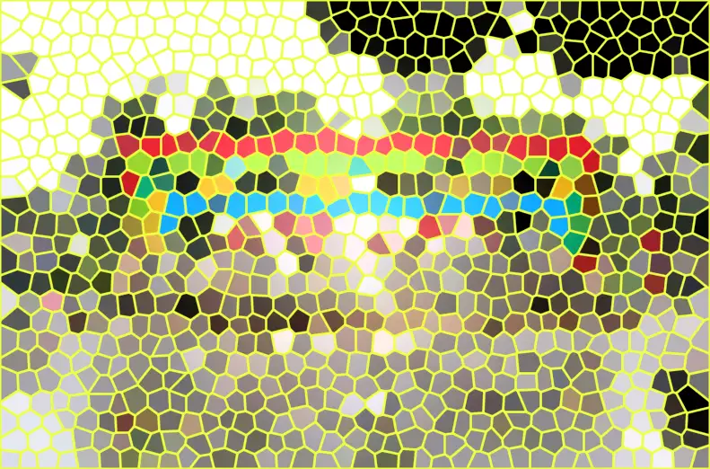 image.webp