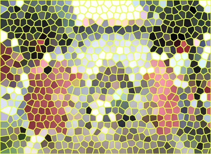 image.webp