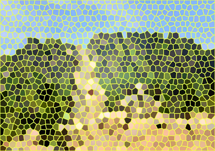 image.webp