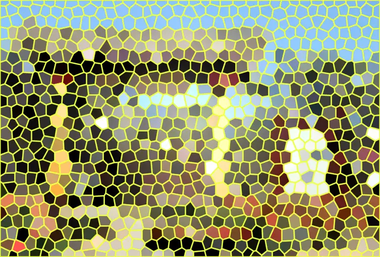 image.webp