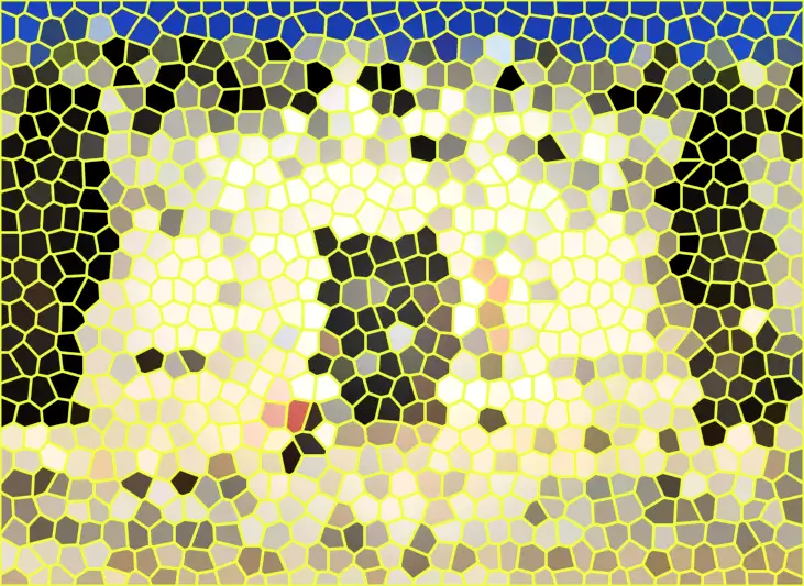 image.webp