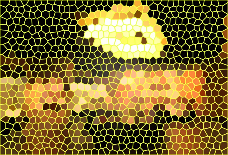image.webp