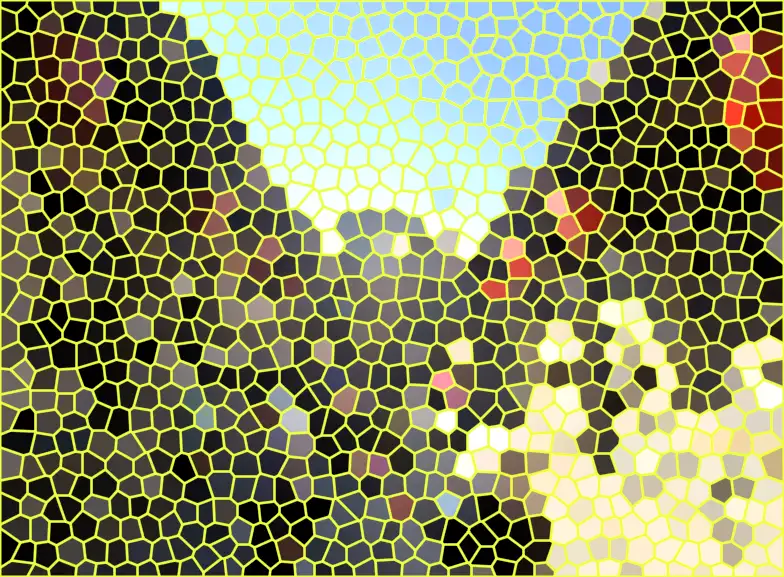 image.webp