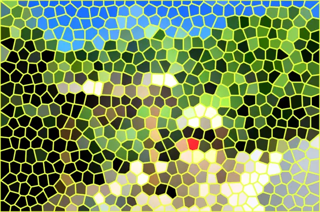 image.webp
