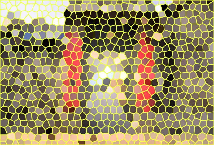 image.webp