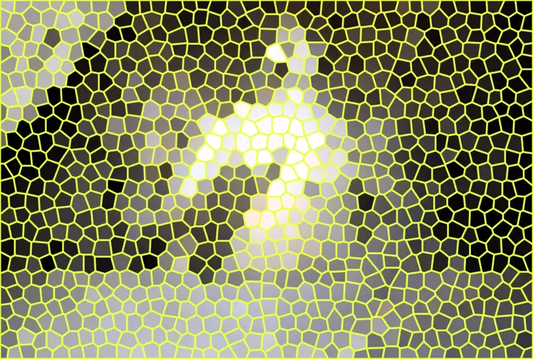 image.webp