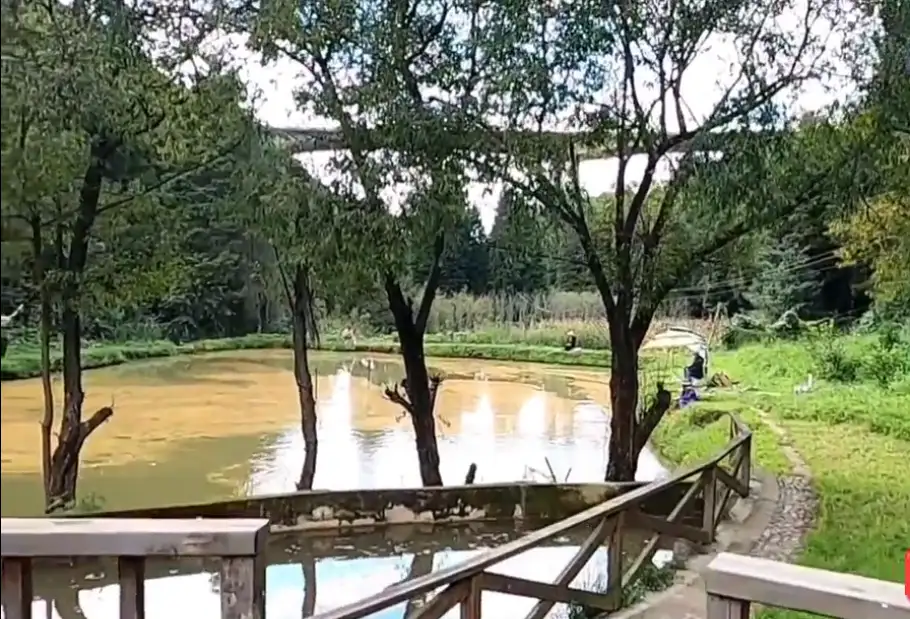 image.webp