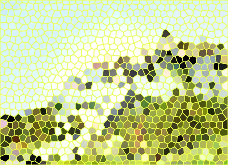image.webp