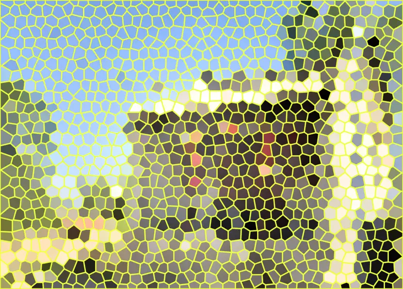 image.webp