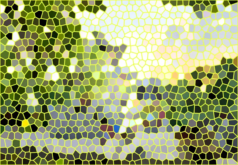 image.webp