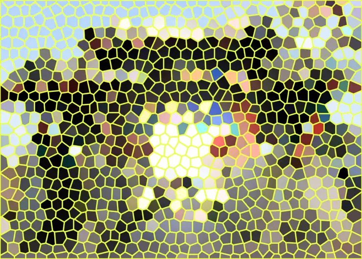 image.webp