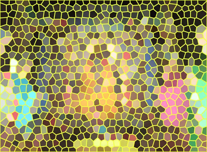 image.webp