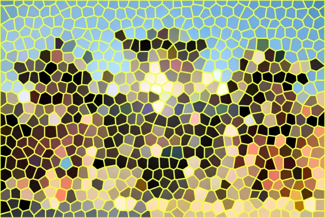 image.webp