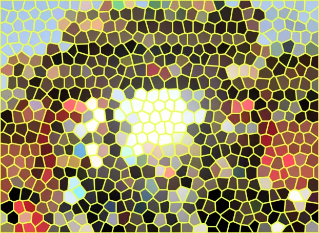 image.webp