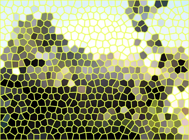 image.webp