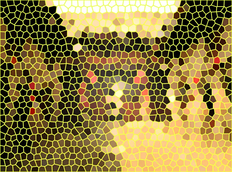 image.webp
