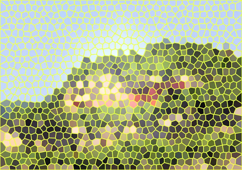 image.webp