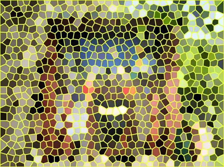 image.webp