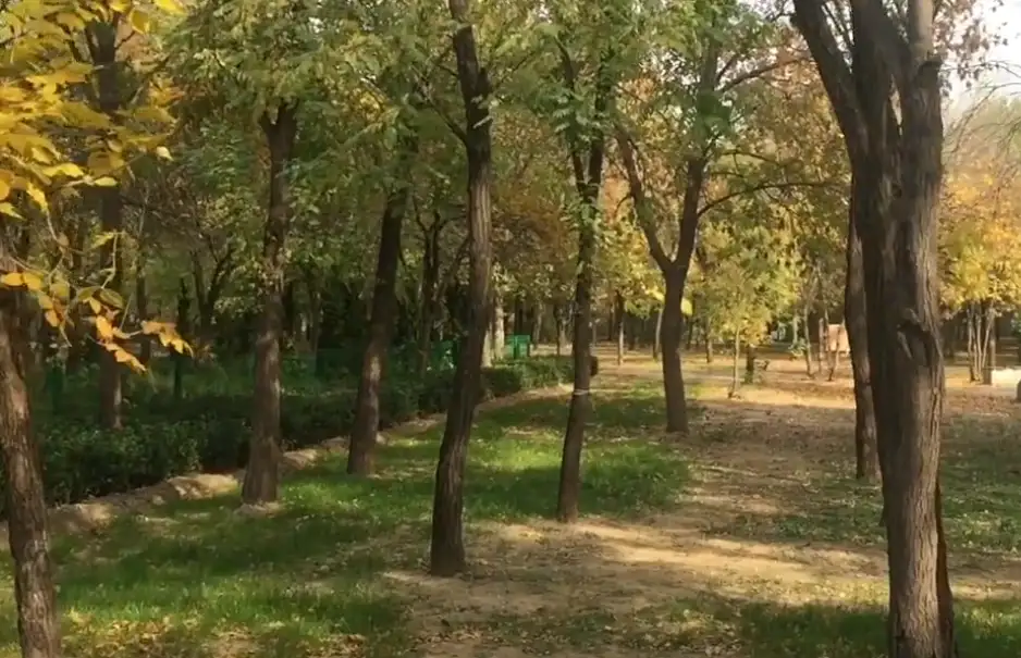 image.webp