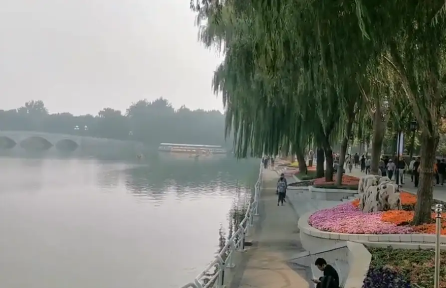 image.webp