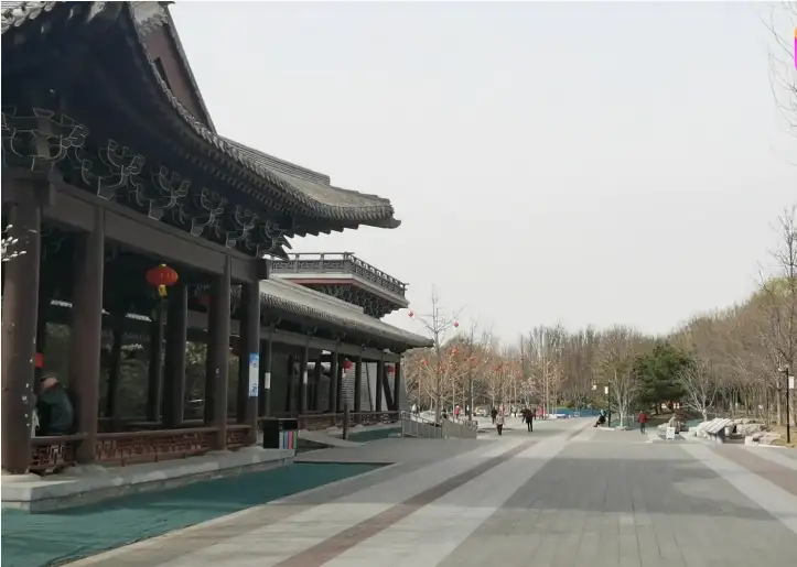 image.webp