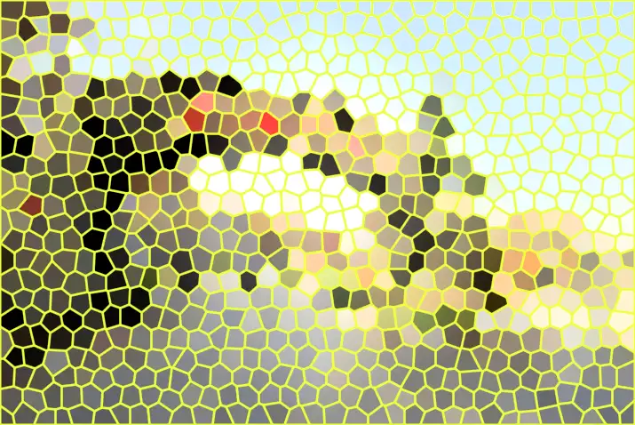 image.webp