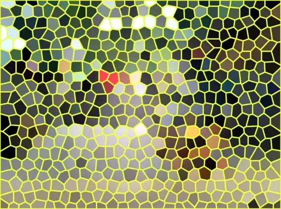 image.webp
