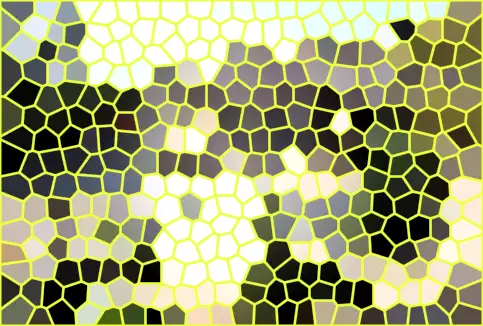 image.webp