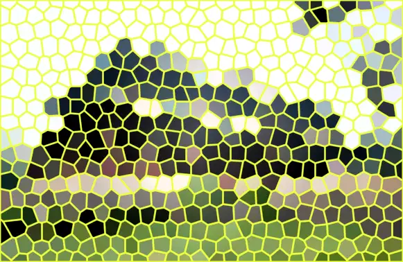 image.webp