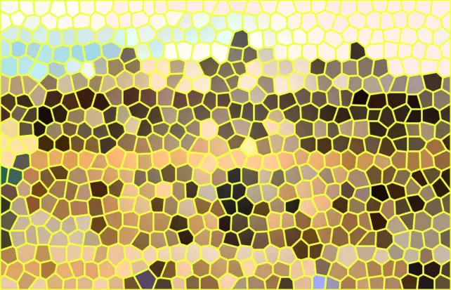 image.webp