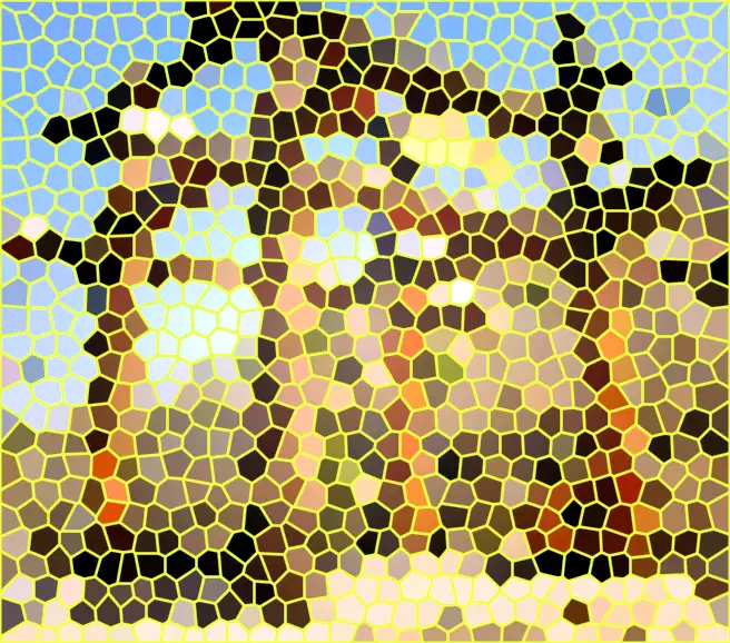 image.webp
