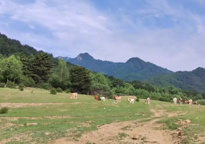 image.webp