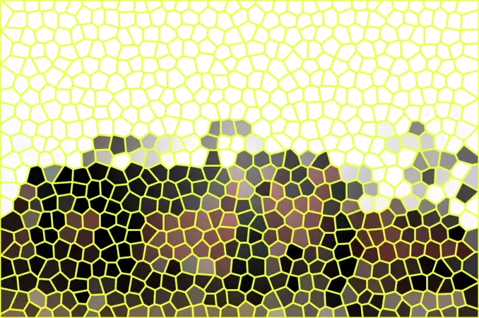 image.webp