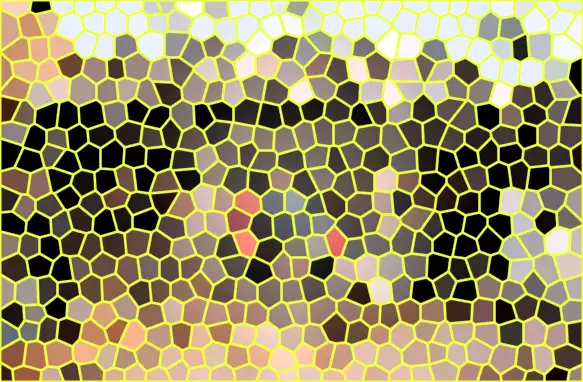 image.webp