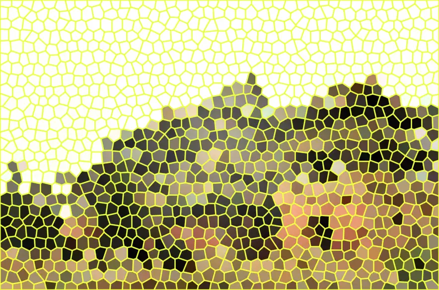image.webp