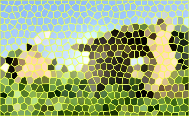 image.webp
