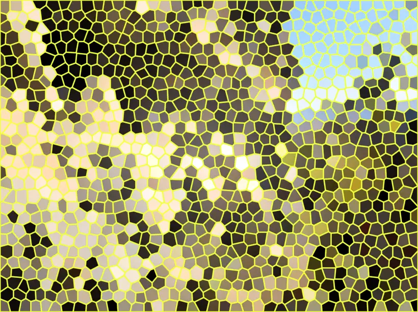 image.webp