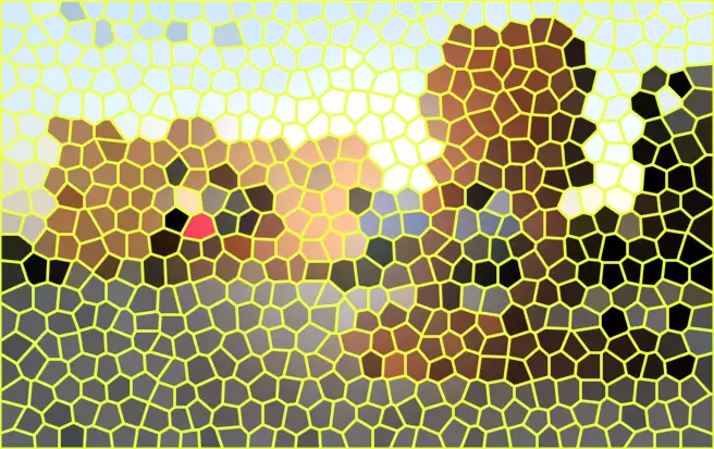 image.webp