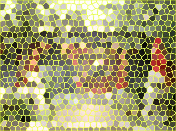 image.webp